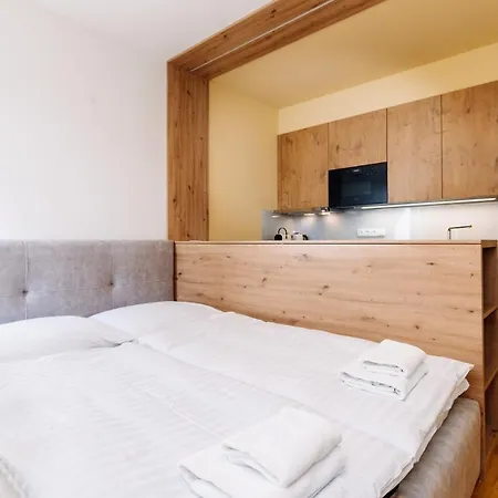 Horsky Temari 11 Klinovec Appartement Loučná pod Klínovcem